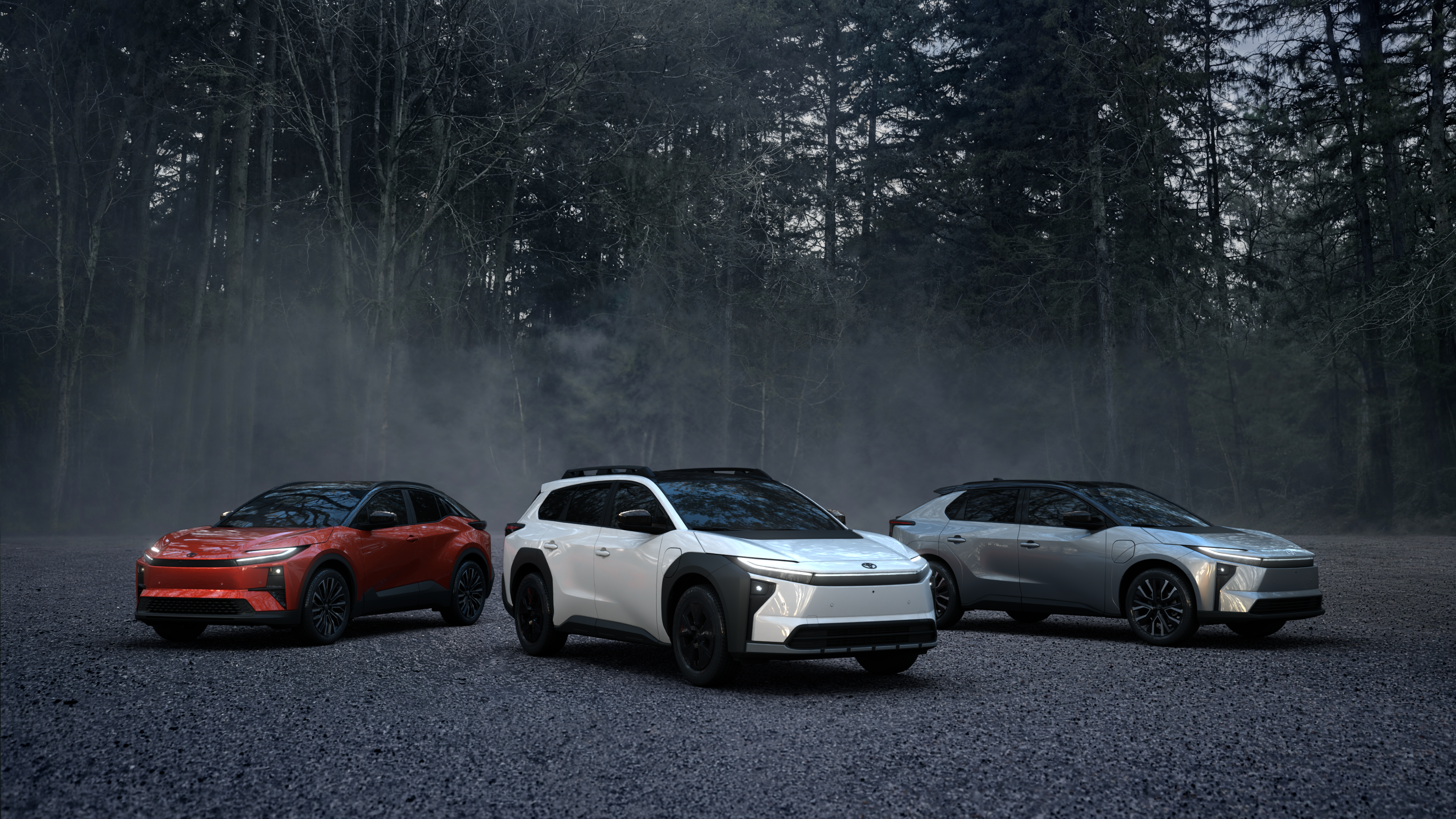 Toyota WOODLAND EV