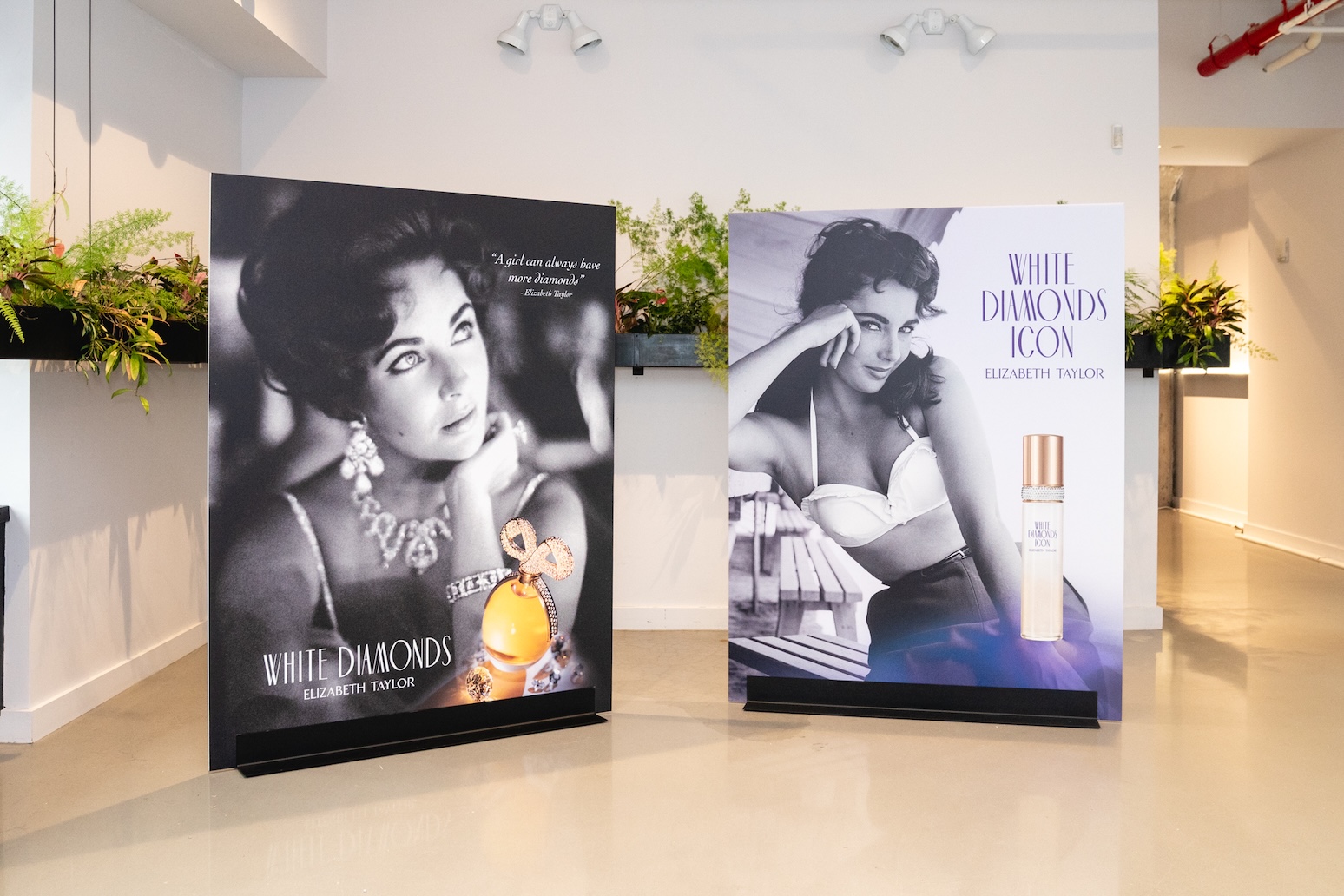 White Diamonds Icon Launch